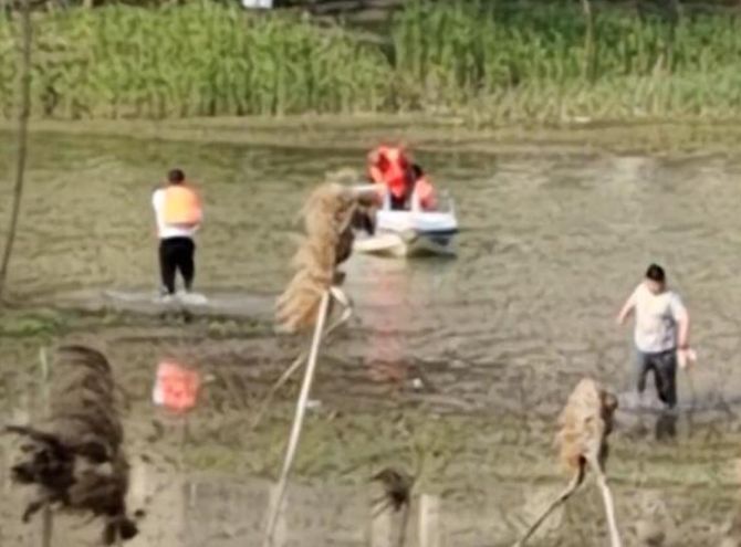 ▲揚州一男童在景區板橋上落水，父親營救不幸溺亡。（圖／翻攝自極目新聞）