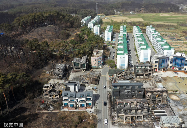 ▲▼南韓江原道江陵11日傳出山林大火，燒毀101棟建築設施和379公頃的山林。（圖／CFP）