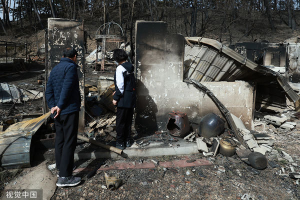 ▲▼南韓江原道山林大火燒毀101處建築設施，一名80多歲男性被發現陳屍住處。（圖／CFP）