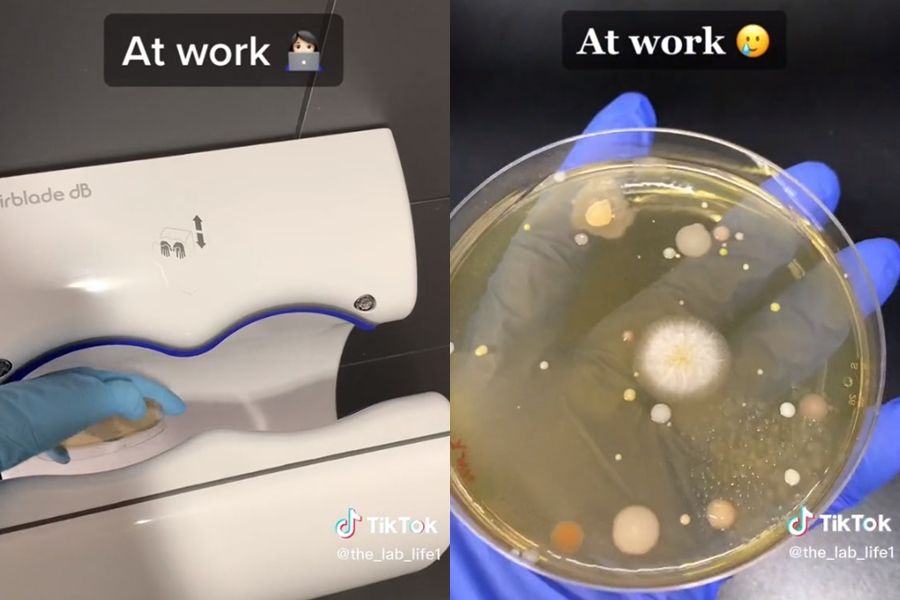 ▲▼             。（圖／翻攝自TikTok）