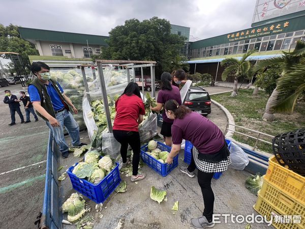 ▲民進黨雲林縣黨部助農行銷活動獲熱烈反應，並引發善的循環「有善心人士加倍捐高麗菜助貧困人」。（圖／記者蔡佩旻翻攝）