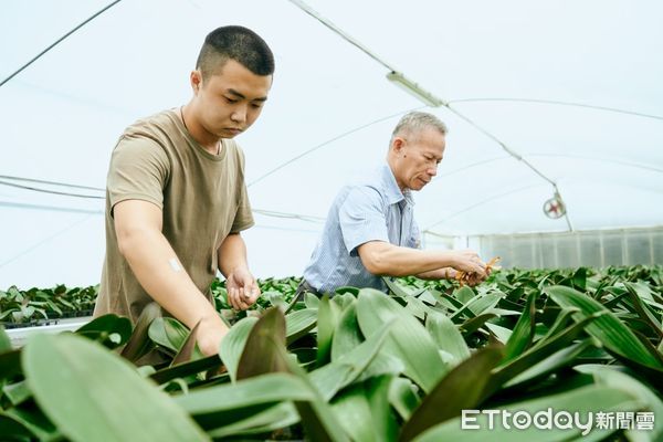 ▲第四屆《遠見》USR大學社會責任獎共頒發23座獎項，虎科大獲「產業共創組」首獎。（圖／記者蔡佩旻翻攝）