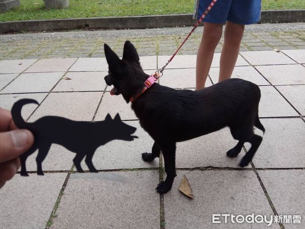 ▲「南瀛綠都心寵物運動公園啟用暨運動趴」，將於4月15日登場，好康活動包含毛孩闖關賽、手繪畫畫、創意剪影、寵物攝影、免費寵物疫苗預防注射等，歡迎一起動起來。（圖／記者林悅翻攝，下同）