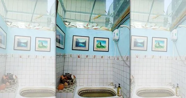台中一間民宿的浴室天花板竟做成魚缸。（翻攝自路上觀察學院臉書）