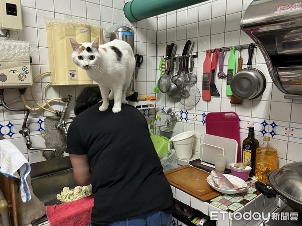 ▲。（圖／飼主王婕蓉授權提供）