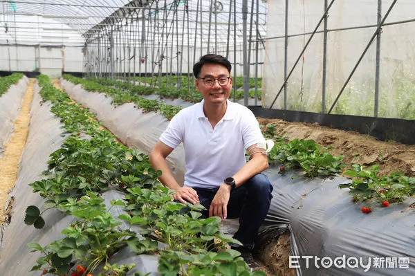 ▲▼中埔幸福有機草莓農場運用科技智慧農業  。（圖／嘉義縣政府提供）
