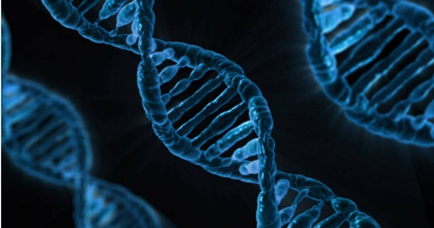人類DNA藏「數百萬年前病毒」　研究意外發現：能幫助抗癌