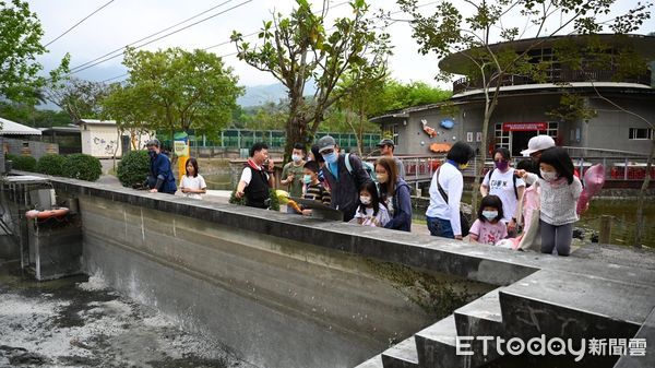 ▲▼銅蘭國小80名親子前來體驗食魚教育活動。（圖／花蓮縣政府提供，下同）