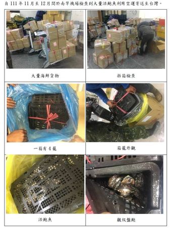 ▲▼李問質疑馬祖沒鮑魚卻空運11噸到台北。（圖／李問提供）