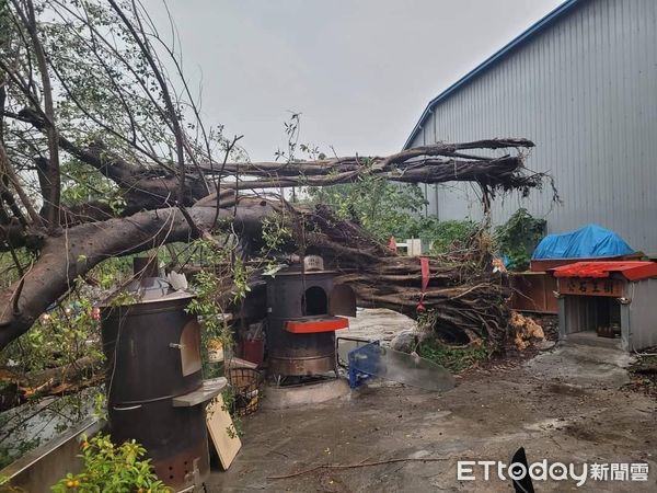 ▲▼暴雨侵襲中部而且雷雨交加，台中多處路樹倒塌淹水。（圖／民眾提供，下同）