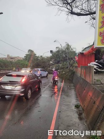 ▲▼暴雨侵襲中部而且雷雨交加，台中多處路樹倒塌淹水。（圖／民眾提供，下同）