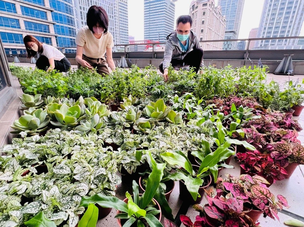 台灣中油422地球日贈樹苗 邀您一起種下永續的種子（圖／台灣中油提供）