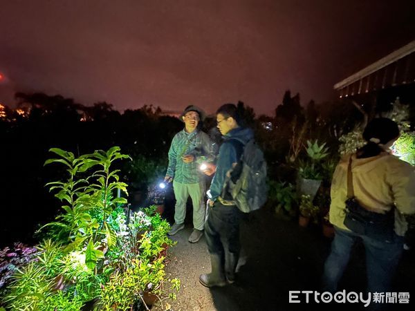 ▲外來種斑腿樹蛙短短10年就擴張到整個本島西部地區，擴散速度非常迅速。（圖／記者王兆麟翻攝，下同）