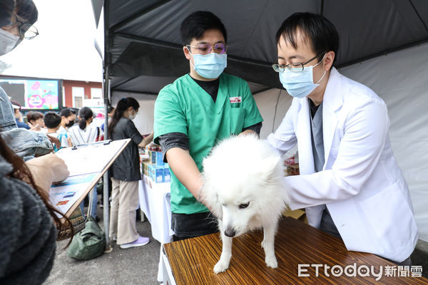 ▲ETtoday好朋友春日趴，東森寵物活動攤位。（圖／記者林敬旻攝）