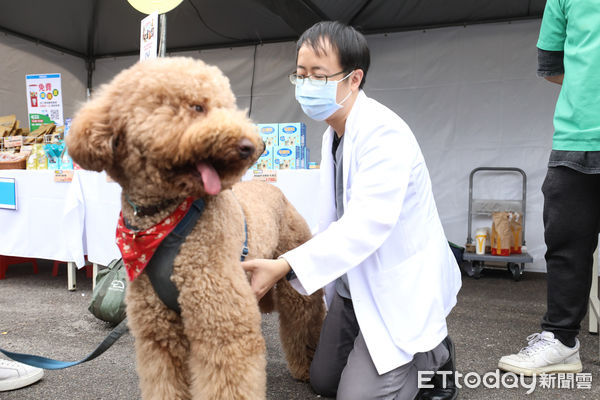 ▲ETtoday好朋友春日趴，東森寵物幫毛小孩看診。（圖／記者林敬旻攝）