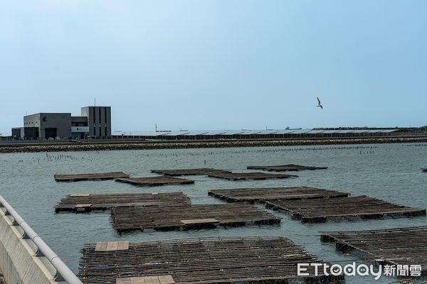 ▲韋能能源於雲林離島工業區打造全台太陽光電單一案場最高發電量的離岸光電島，以潔淨能源推動地方產業轉型。（圖／記者蔡佩旻翻攝）