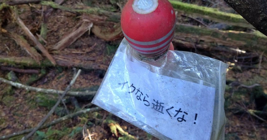 日本「自殺聖地」掛滿紅色飛機杯？　背後奇葩又暖心原因曝光