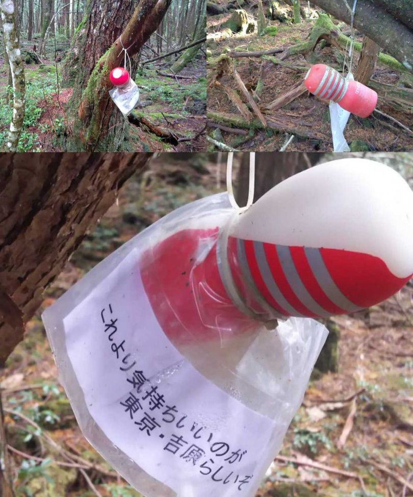 日本「自殺聖地」掛滿紅色飛機杯？　背後奇葩又暖心原因曝光