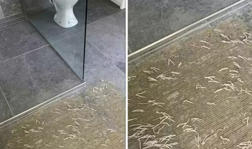 ▲▼             。（圖／翻攝自臉書）