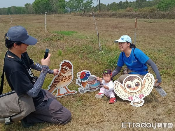 ▲台南市野鳥學會在台南歸仁區台糖沙崙農場，舉辦「雉在沙崙共享西瓜生態季」活動，邀請民眾認識沙崙農場的豐富生態，現場出現超過100隻三級保育類燕鴴，令人振奮。（圖／台南市野鳥學會提供，下同）