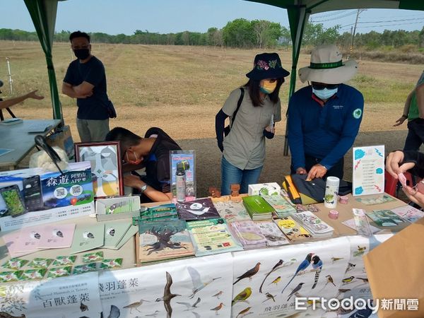 ▲台南市野鳥學會在台南歸仁區台糖沙崙農場，舉辦「雉在沙崙共享西瓜生態季」活動，邀請民眾認識沙崙農場的豐富生態，現場出現超過100隻三級保育類燕鴴，令人振奮。（圖／台南市野鳥學會提供，下同）