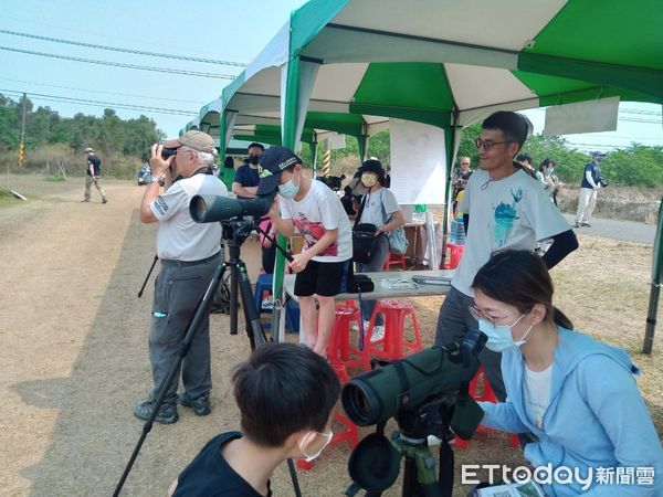 ▲台南市野鳥學會在台南歸仁區台糖沙崙農場，舉辦「雉在沙崙共享西瓜生態季」活動，邀請民眾認識沙崙農場的豐富生態，現場出現超過100隻三級保育類燕鴴，令人振奮。（圖／台南市野鳥學會提供，下同）