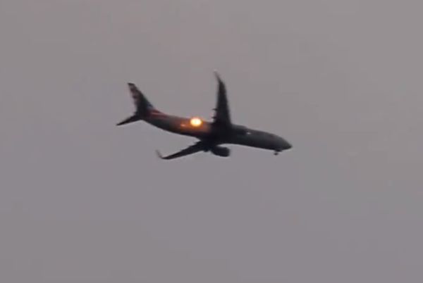 ▲▼美國航空（American Airlines）一架波音737班機23日上午7時許起飛時撞上一群鵝。（圖／翻攝自推特）