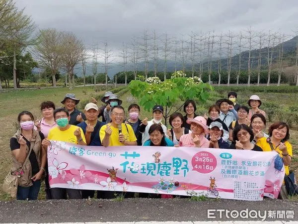 ▲台東鹿野地區油桐花正值花期。（圖／記者楊漢聲翻攝）