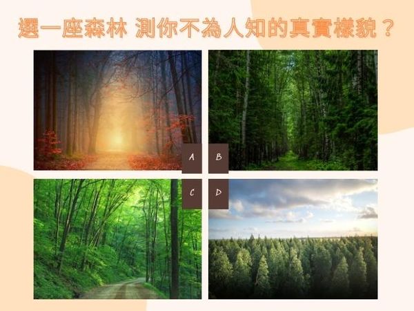 ▲選一座森林，測你不為人知的真實樣貌？（圖／記者陳怡真製圖 素材取自免費圖庫pexels）
