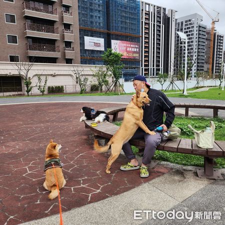 ▲。（圖／飼主徐玲玲授權提供）