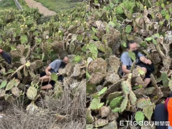 ▲▼             。（圖／記者戴上容攝）