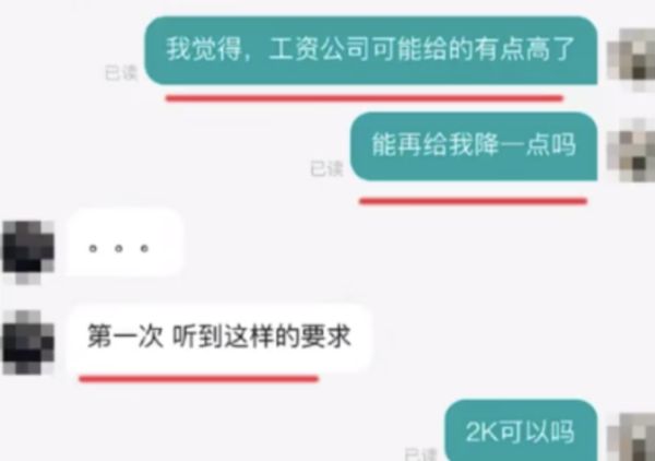 ▲一名電腦工程師在人力招聘網站上用反諷的方式和招聘人員對話。（圖／翻攝九派新聞）