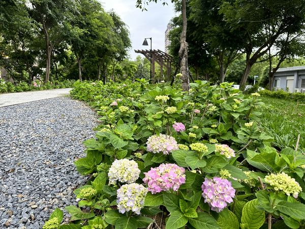 ▲北大污水廠內約720坪綠地規劃成「草花植生公園」。（圖／新北市水利局提供）