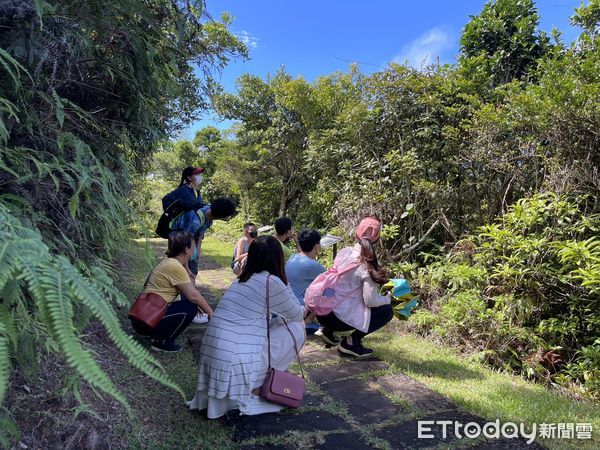 ▲▼綠島過山古道尋寶趣，5月1日起至10月底開始接受預約，5人成團。（圖／東管處提供，下同）