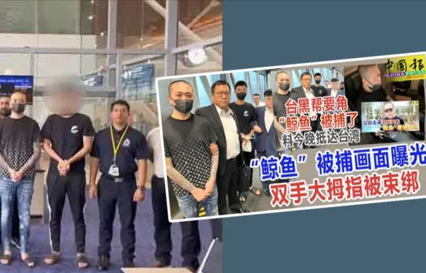 ▲▼大馬中文媒體中國報報導台灣黑幫押送回台。（圖／中國報）