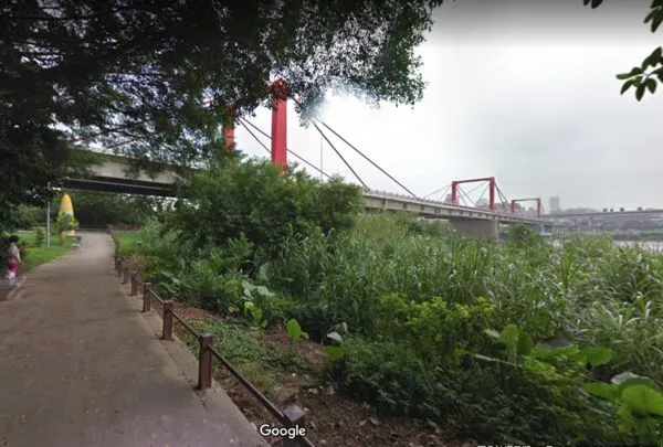 ▲▼29歲男子獨自走上北市萬華光復橋，從橋上墜落河濱草叢。（圖／翻攝Google Map）