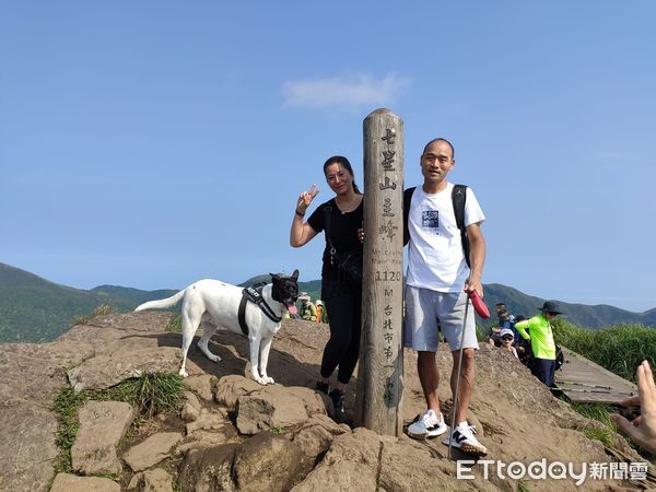 ▲▼黑臉汪跟爸媽爬山攻頂　一回家累趴客廳睡成「白胖抱枕」。（圖／有點毛毛的／網友桔梗花提供）