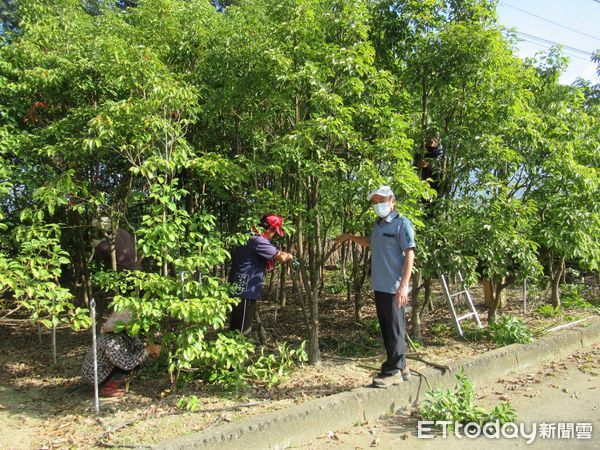 ▲▼ 嘉義林區管理處表揚112年度模範勞工  。（圖／嘉義林區管理處提供）