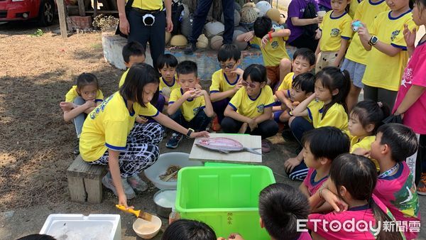 ▲台南市南大附小與新化口埤實小攜手台南大學USR，設計「識魚‧虱目魚」課程，踏足台南安南、北門、將軍和學甲探究虱目魚。（圖／記者林悅翻攝，下同）