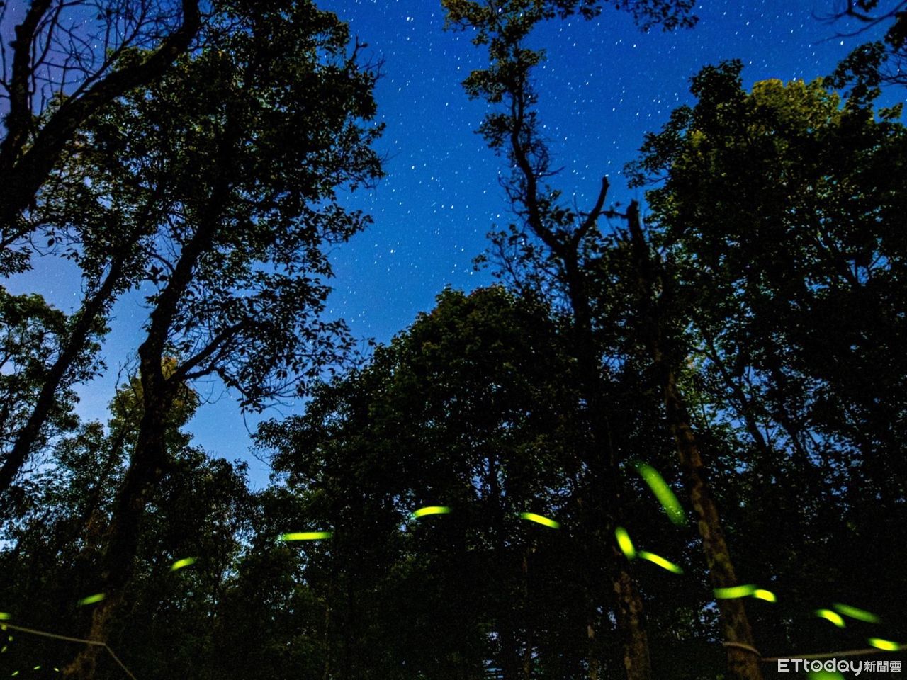 今年夏天要玩瘋了!花蓮9項天文旅遊 季節限定觀星賞螢先開跑 | ETtoday旅遊雲 | ETtoday新聞雲
