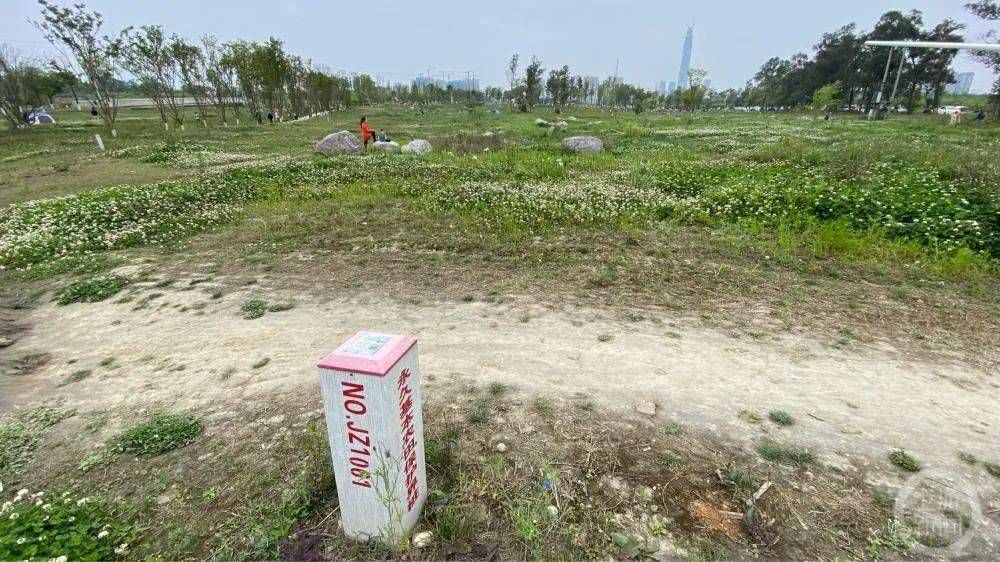 ▲▼中國退林還耕 成都否認浪費1500億剷平環城綠道。（圖／翻攝自四川觀察）