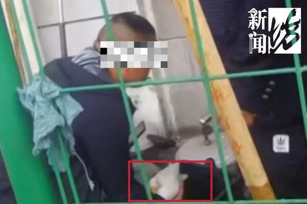 ▲上海一名劉女士飼養的寵物鴨被人抱走，差點被做成「老鴨湯」當晚餐。（圖／翻攝看看新聞）