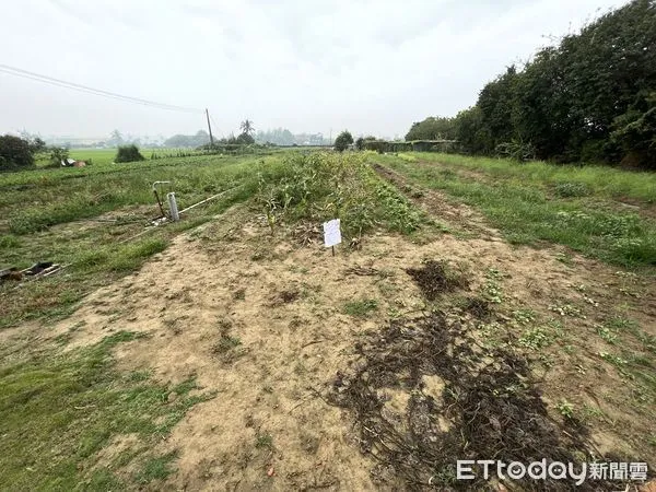 ▲▼拍賣土地             。（圖／記者陳宏瑞攝）