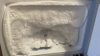 日男冰箱冷凍庫太久沒用　打開「結厚厚冰層」塞滿整櫃