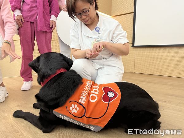 ▲▼ 台北榮總安寧病房治療犬Oba 。（圖／記者嚴云岑攝）