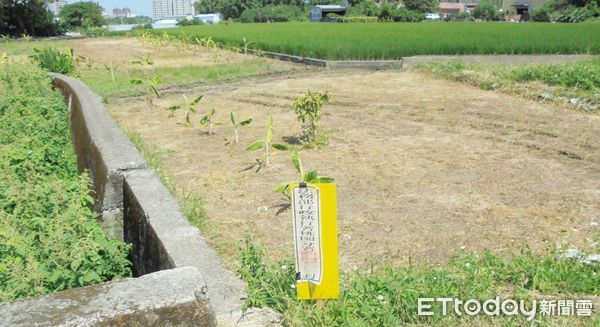 ▲法務部執行署桃園分署針對吳姓納稅義務人積欠遺產稅及罰鍰案，圖為納稅義務人名下土地。（圖／記者沈繼昌翻攝）