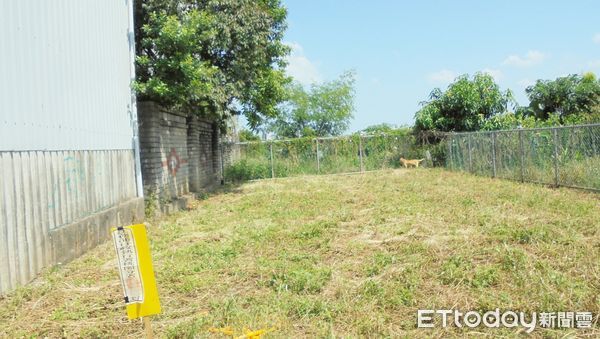 ▲法務部執行署桃園分署針對吳姓納稅義務人積欠遺產稅及罰鍰趕在5月屆滿前玩完成拍定，圖為納稅義務人名下土地。（圖／記者沈繼昌翻攝）