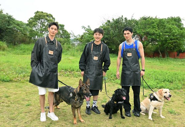 ▲曹佑寧（左起）、許富凱、黃偉晉和新北市警犬合照。（圖／台視提供）