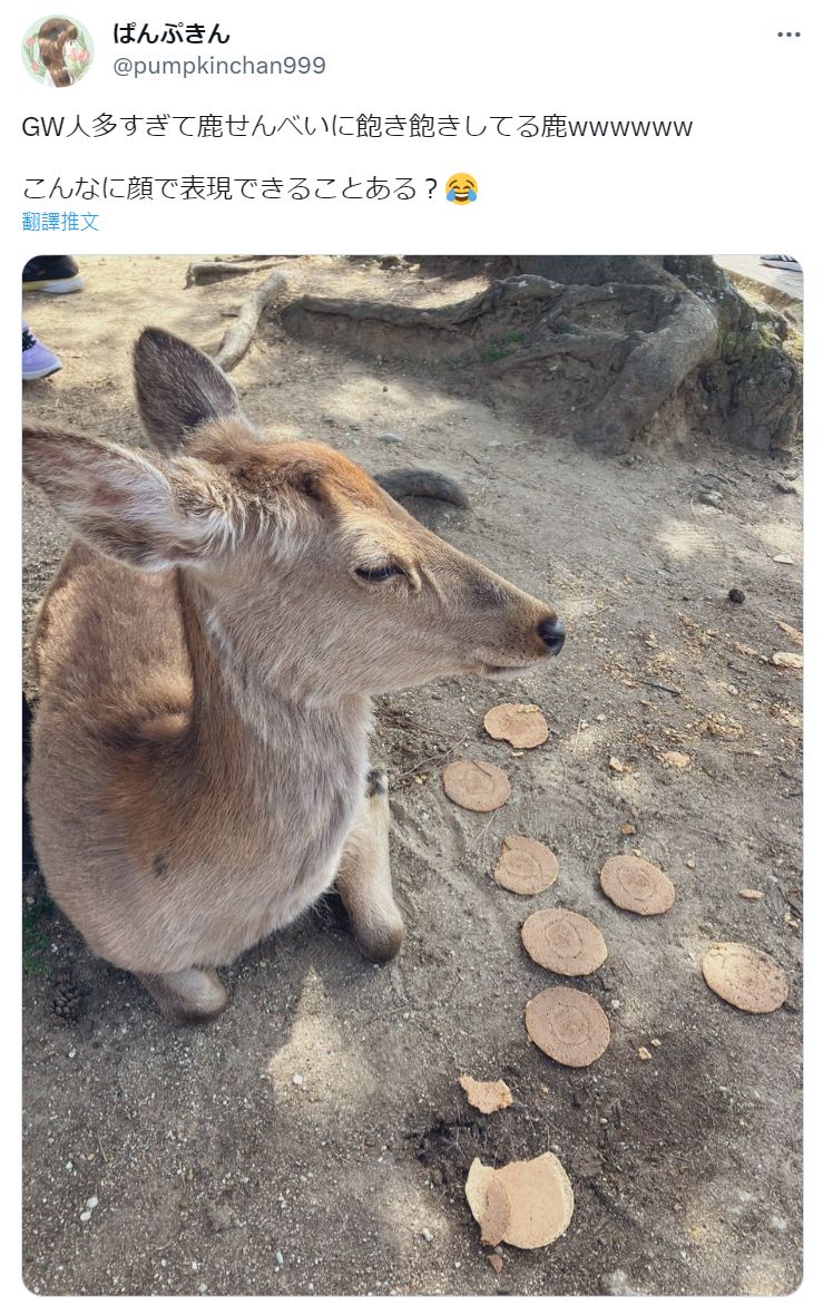 鍵盤大檸檬