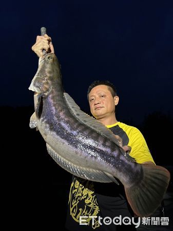 ▲釣魚達人黃小四趕在繁殖季前於日月潭捕得12斤大魚虎。（圖／黃小四提供）